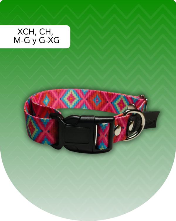 Collar Rosa Huichol