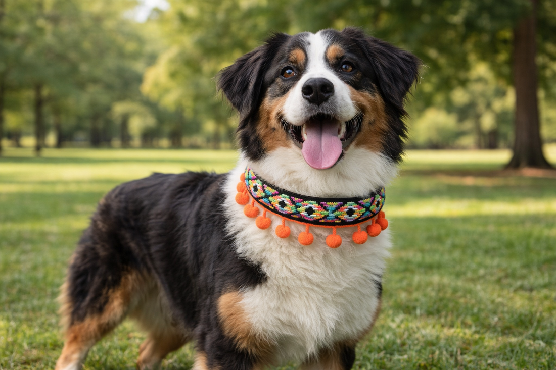 ¿Cuál es el mejor collar para perros?