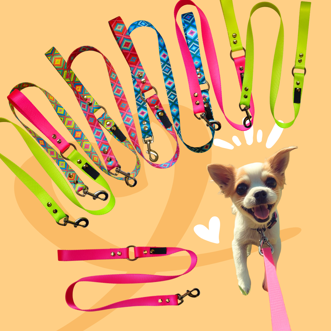 Correas Perro Chico y Extra Chico